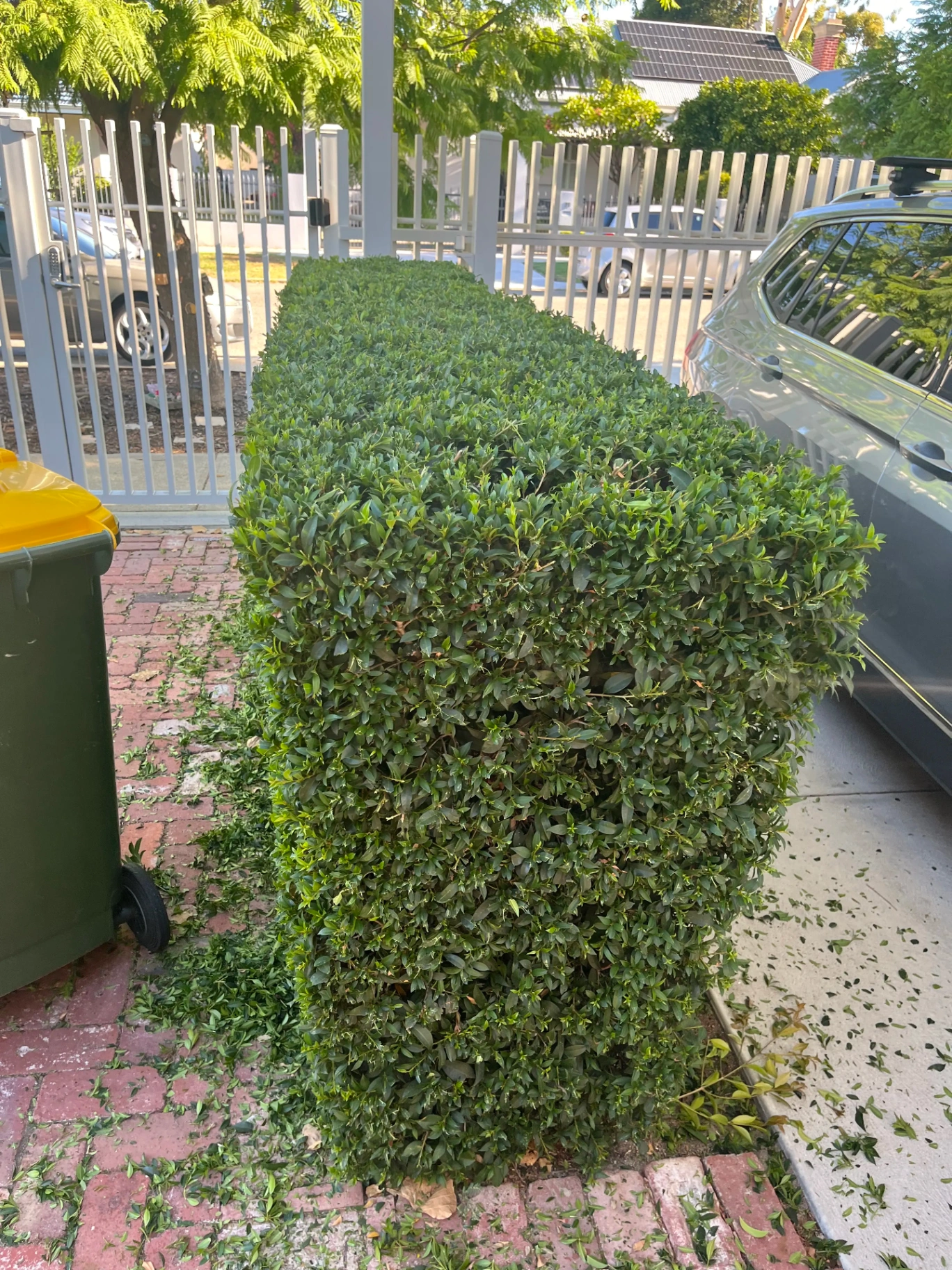 Apex Landscaping project 4
