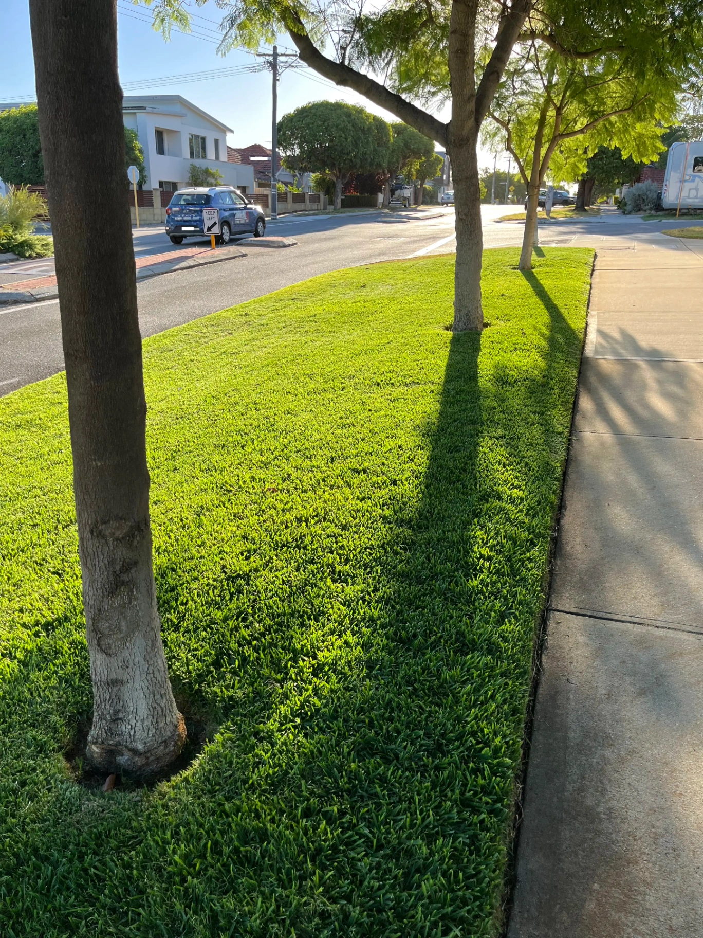Apex Landscaping project 1