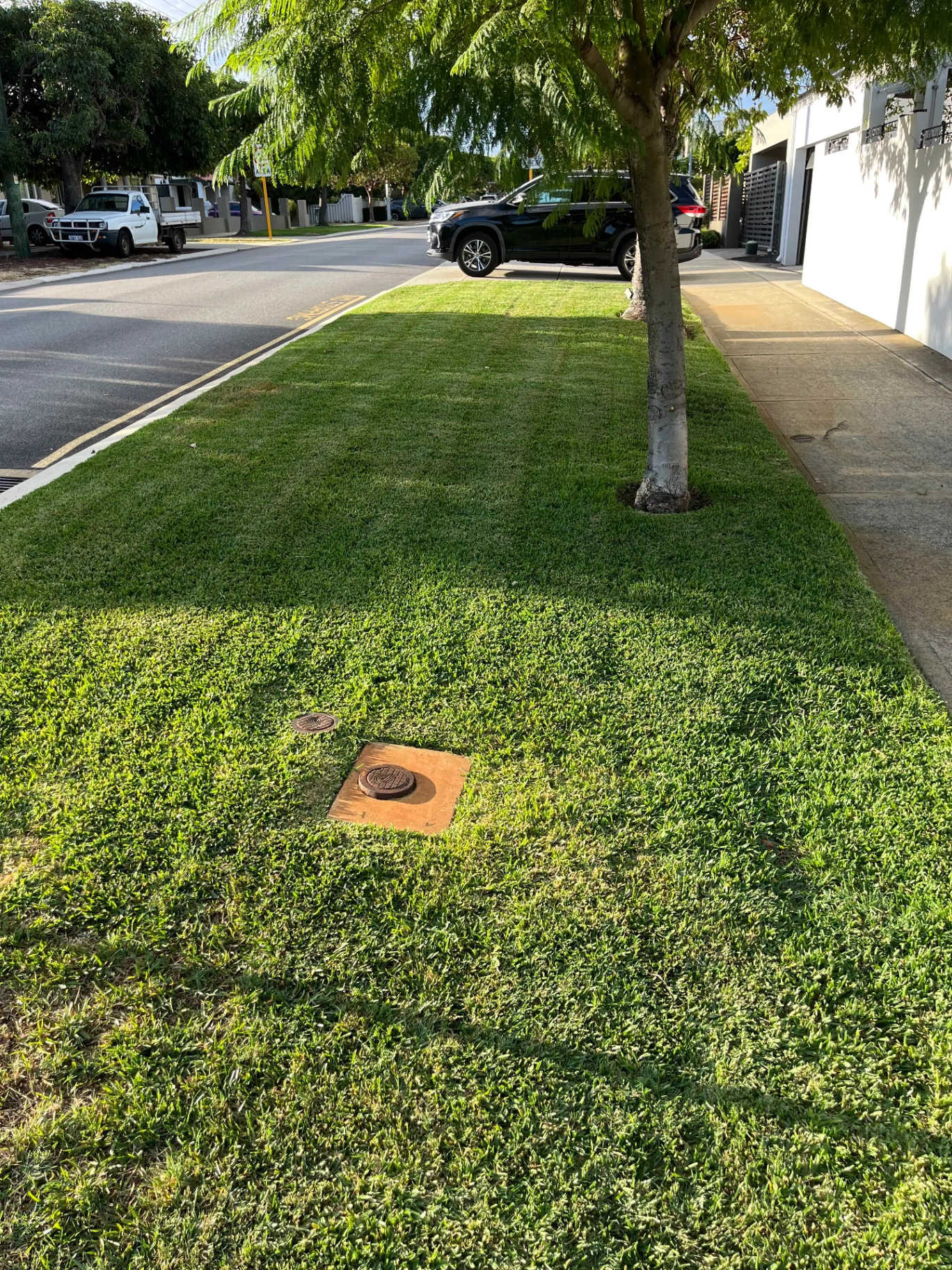 Apex Landscaping project 2